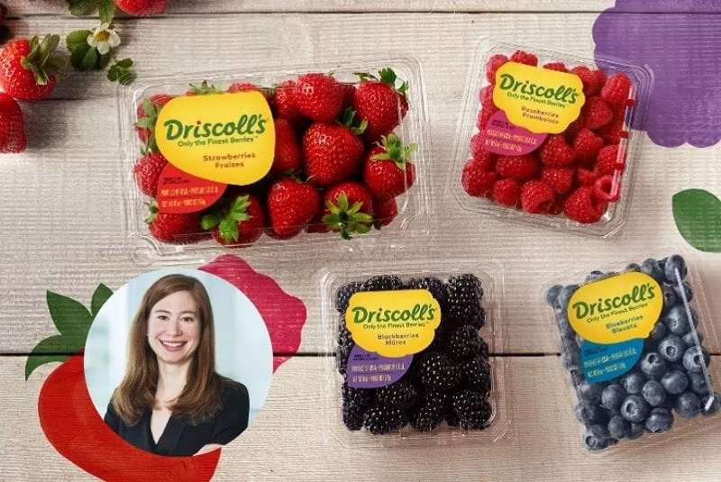 Trop de pesticides? Une action collective vise les baies Driscoll's