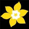 Canadian Cancer Society