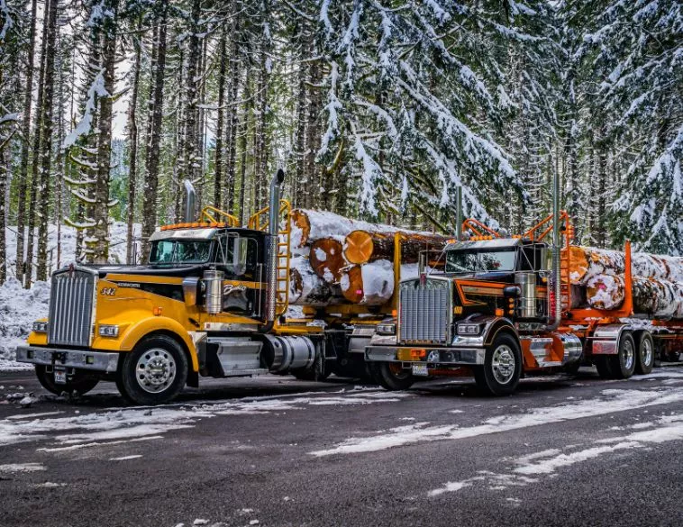 Logging Legends